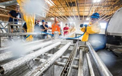 5 Cleaning & Sanitation Practices you should follow if you Handle Food