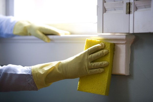 person cleaning with sponge