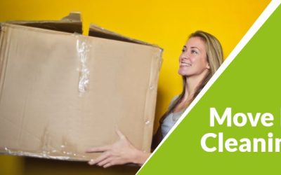 A Quick Guide to Move In Cleaning for Homeowners and Tenants