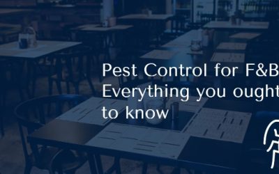 Everything You Ought to Know About Pest Control for F&B in Singapore.
