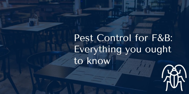 Everything You Ought to Know About Pest Control for F&B in Singapore.